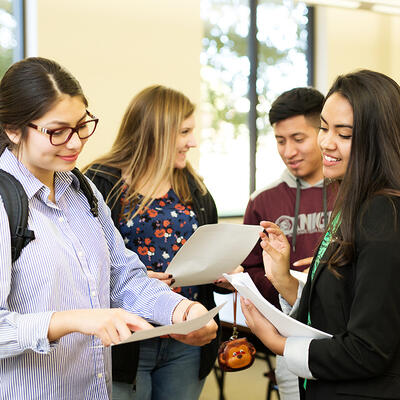 Four business students go oversome paperwork before their presentation 