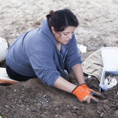 Female sits and extends her arms as she carefully digs for bones