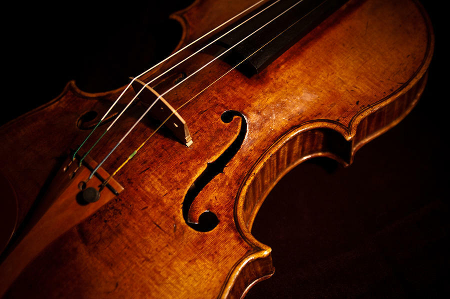 Beautiful brown violin against the contrast of a black background