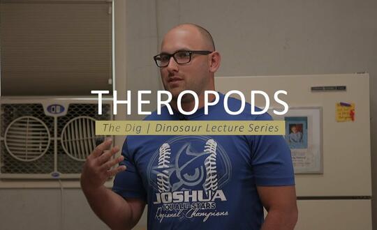 The Dig | Dinosaur Lecture Series - THEROPODS
