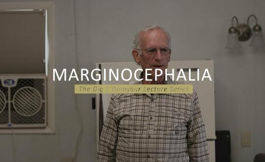 The Dig | Dinosaur Lecture Series - MARGINOCEPHALIA