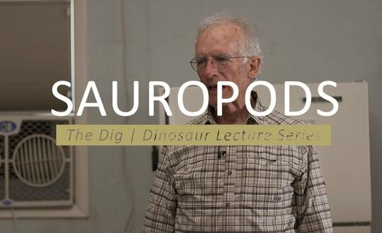 The Dig | Dinosaur Lecture Series - SAUROPODS