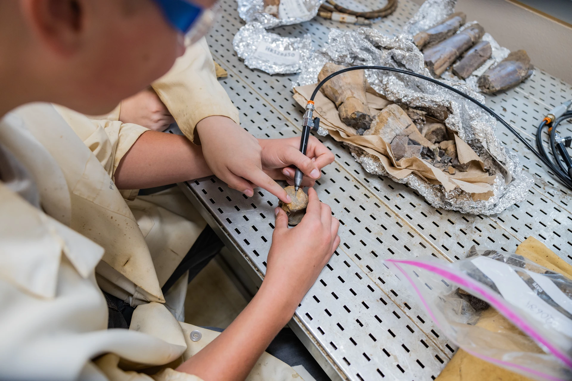 Fossil Prep dinosaur science and research center SWAU paleontology