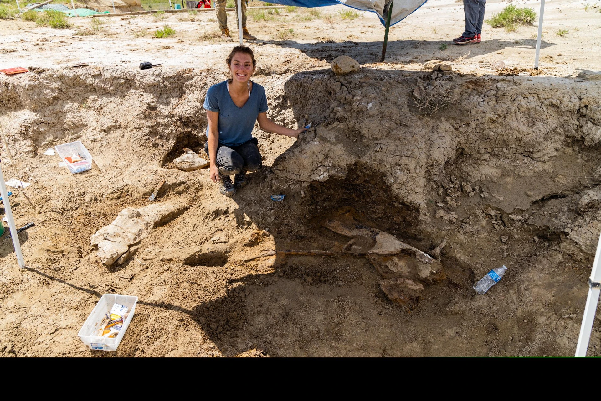 Dino Dig Experience at Wyoming