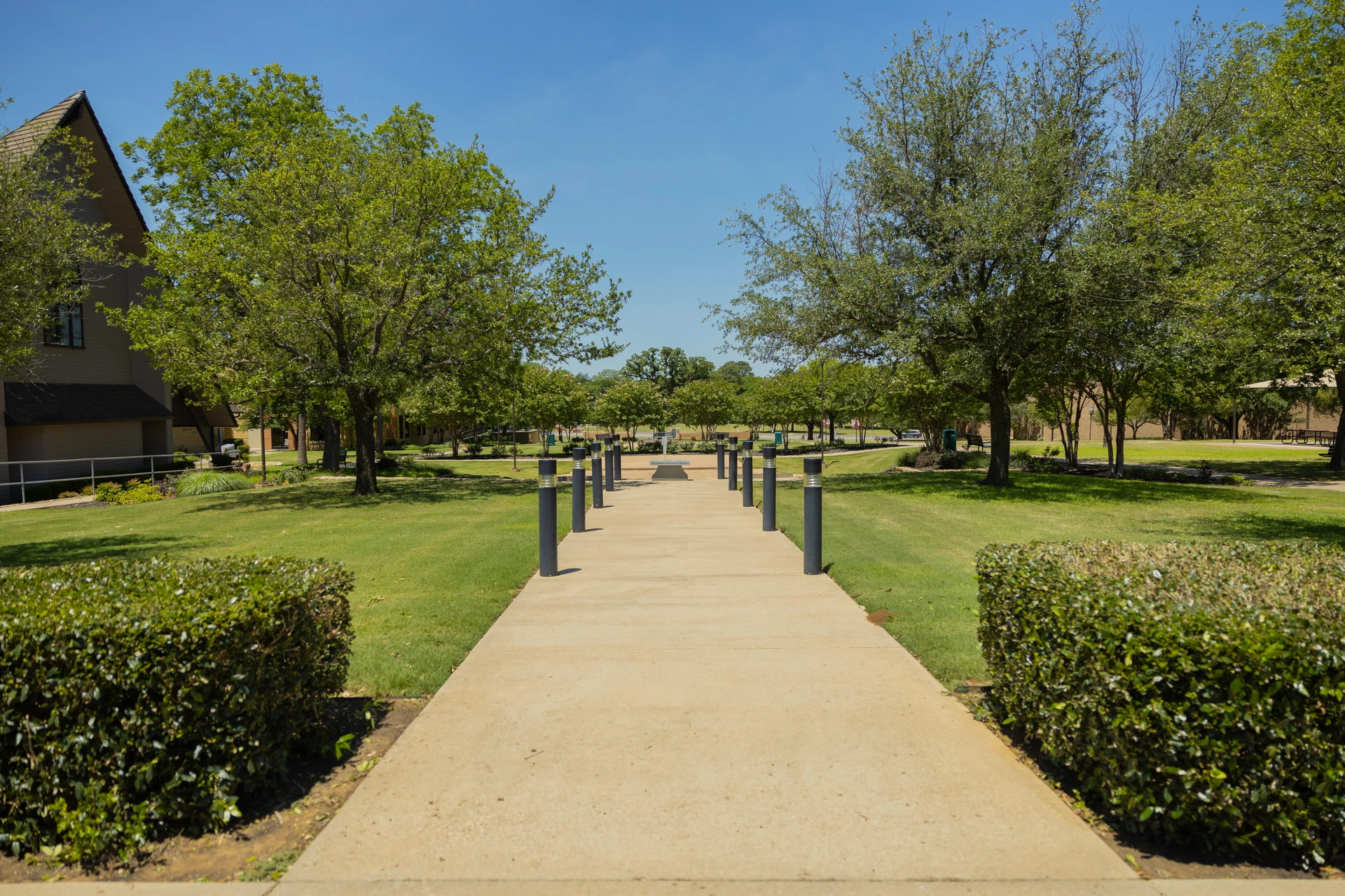 Planned giving amphitheater campus shot